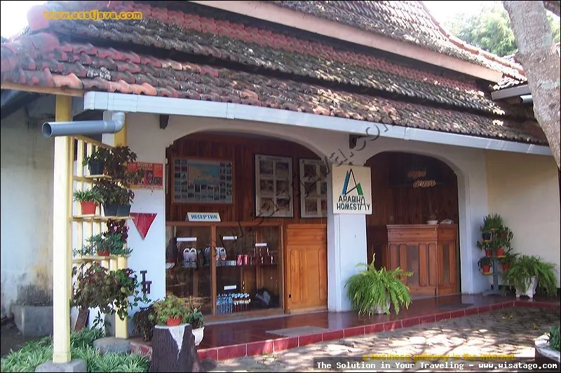 Wisata Agro Kopi Kalisat nan asri
