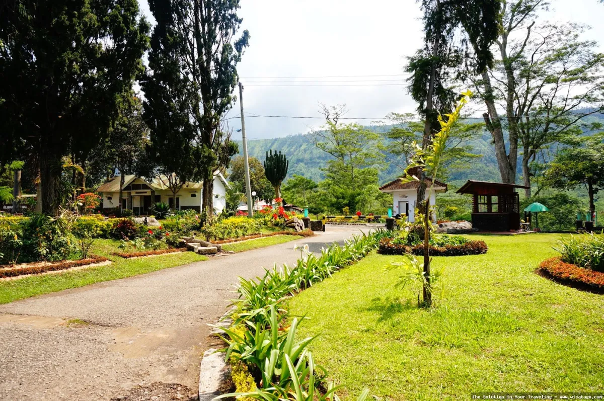Wisata Agro Kopi Kalisat yang menawan