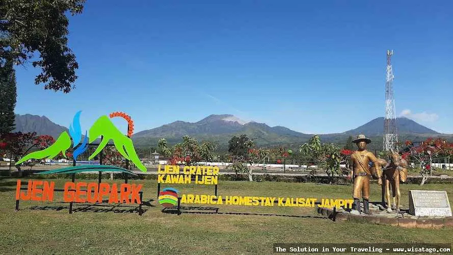 Wisata Agro Kopi Kalisat nan hijau