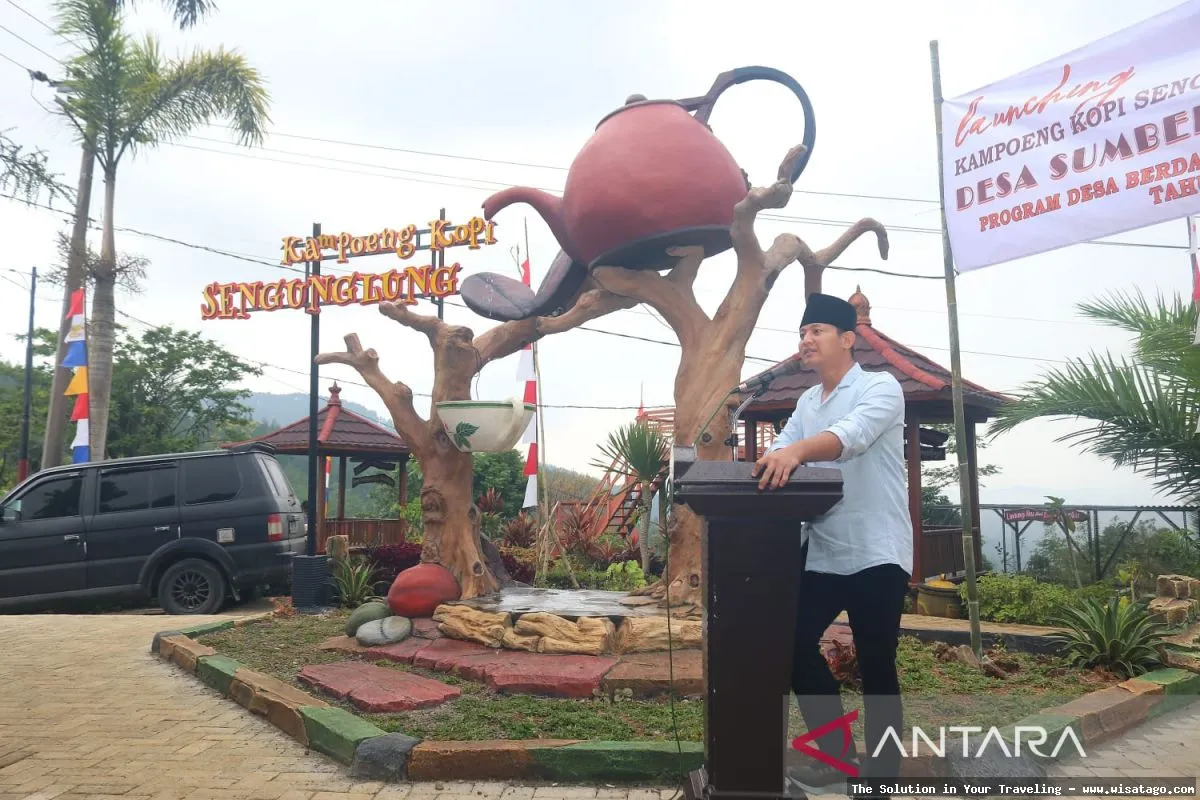 Wisata Agro Kopi Kalisat yang memukau