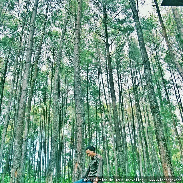 Wisata Air Terjun Samparona yang menawan