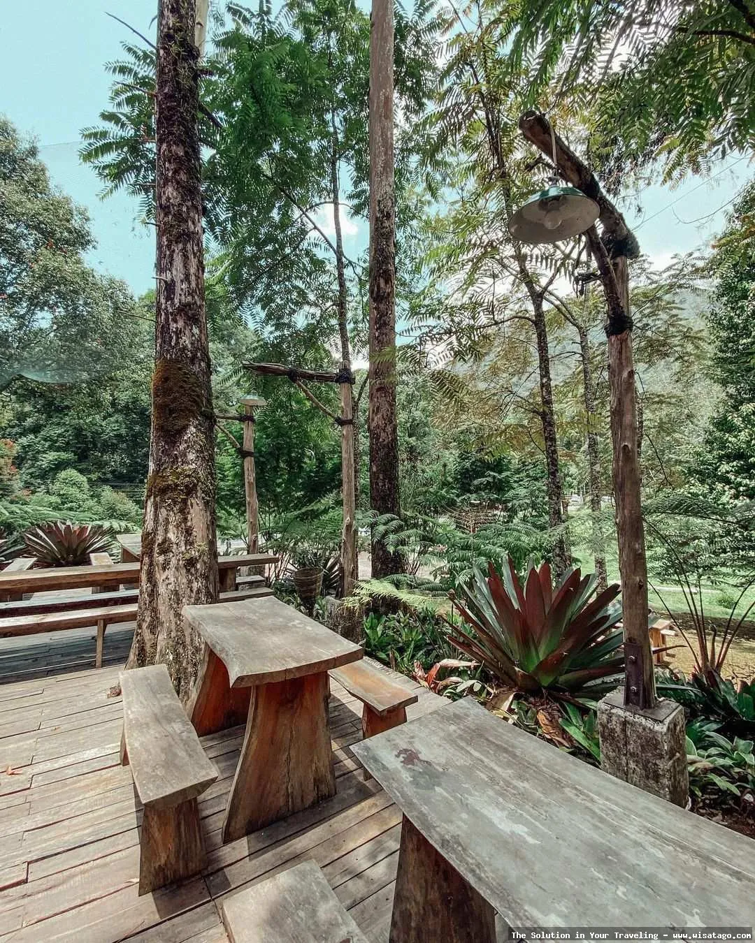 wisata Alenta Warung Kopi yang asri