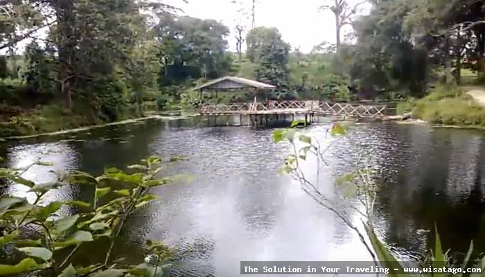 wisata Aroma Pecco yang menawan