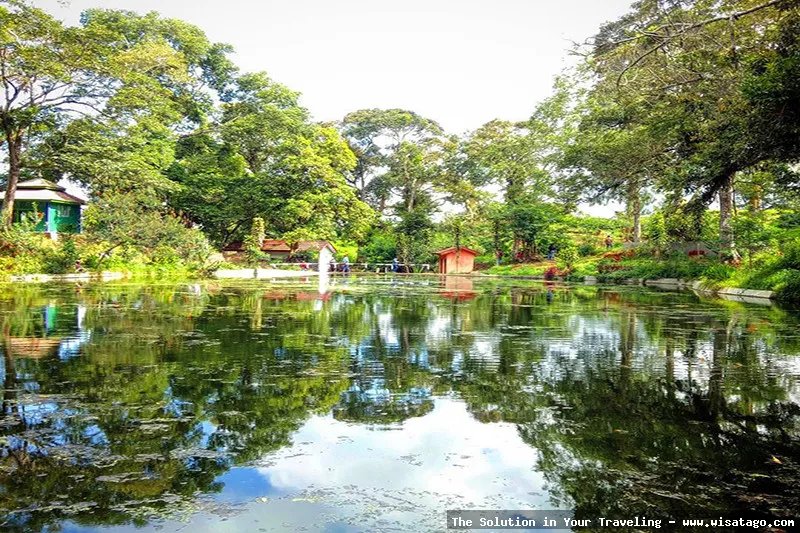wisata Aroma Pecco yang menawan