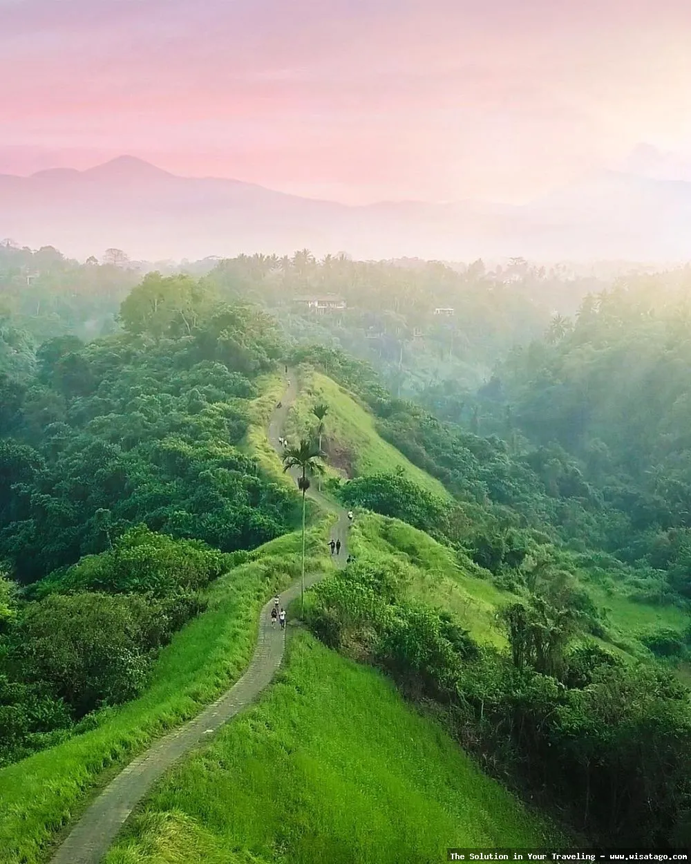 Wisata Bukit 513: Pemandangan alam indah