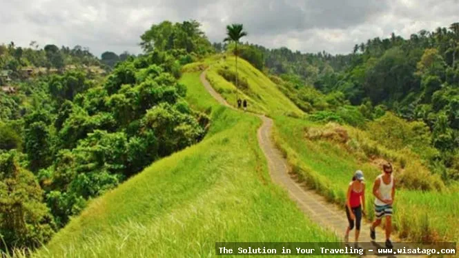 wisata Bukit Campuhan yang menenangkan