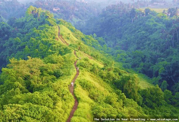 wisata Bukit Campuhan yang menawan