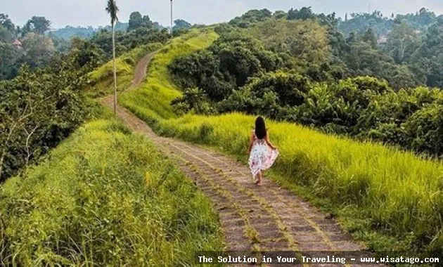 wisata Bukit Campuhan yang menenangkan