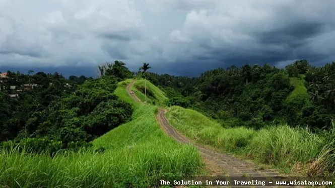 wisata Bukit Campuhan yang menenangkan