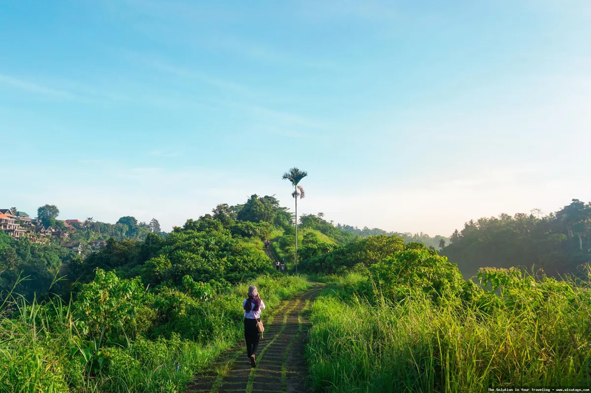 wisata Bukit Campuhan yang menenangkan