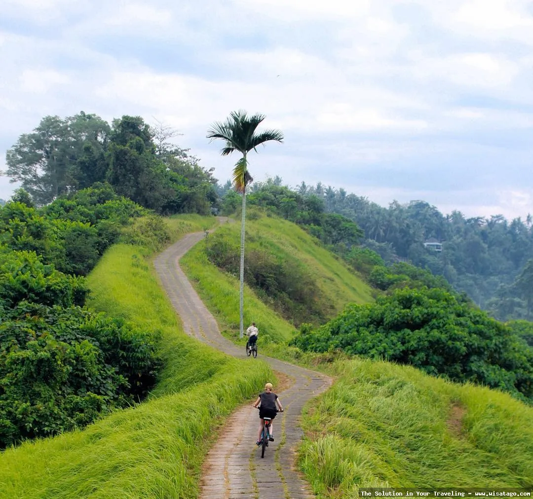 wisata Bukit Campuhan yang menenangkan