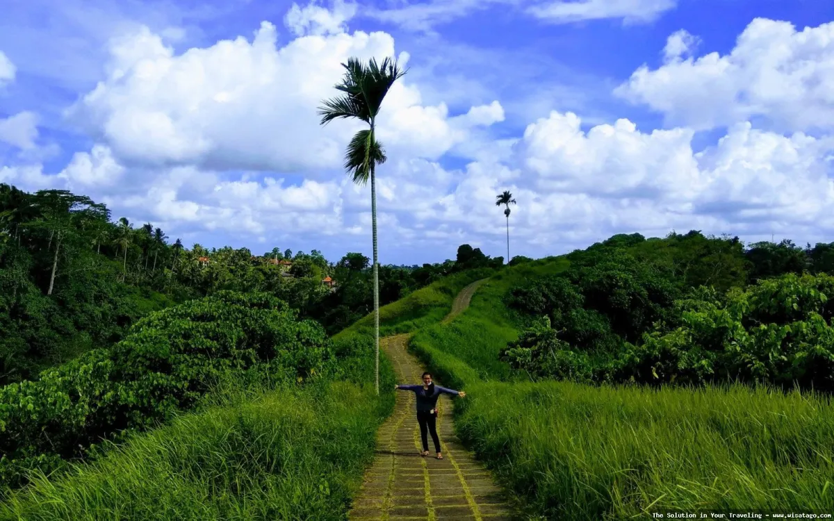 wisata Bukit Campuhan yang menenangkan
