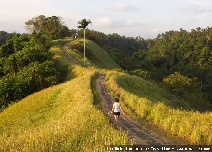 wisata Bukit Campuhan yang menenangkan