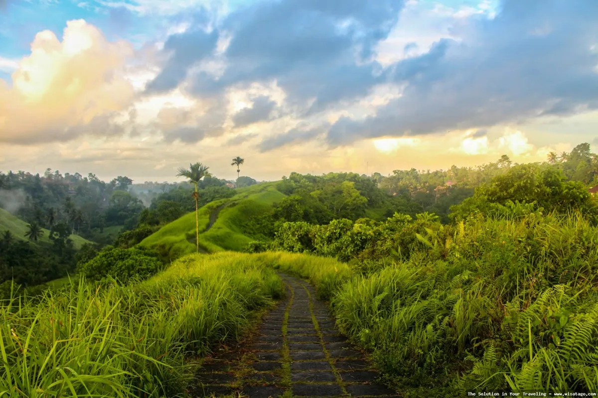 wisata Bukit Campuhan yang menenangkan