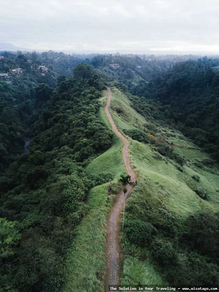 Wisata Bukit Campuhan yang menenangkan