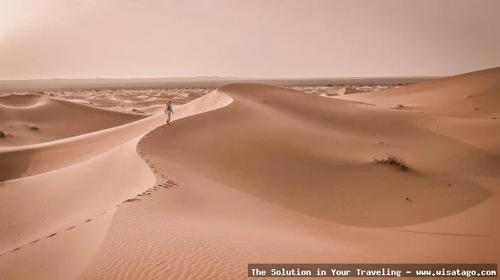 wisata Bukit Pasir yang memukau