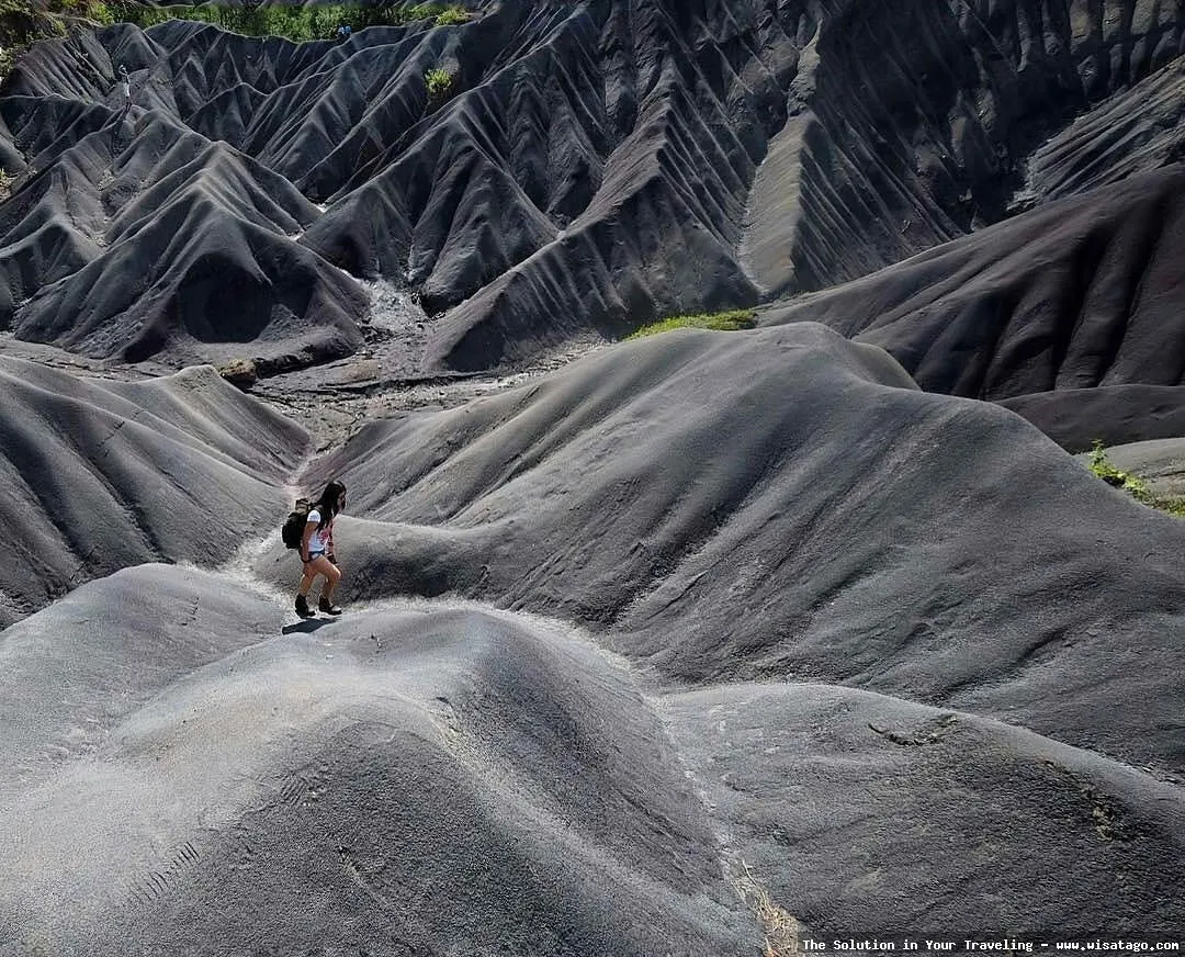 Wisata Bukit Pasir yang menakjubkan