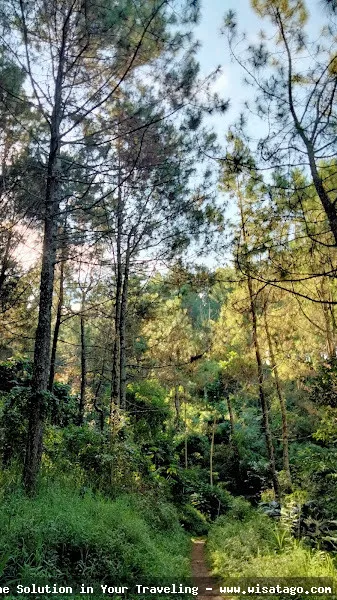 Wisata Coban Parang Tejo nan indah