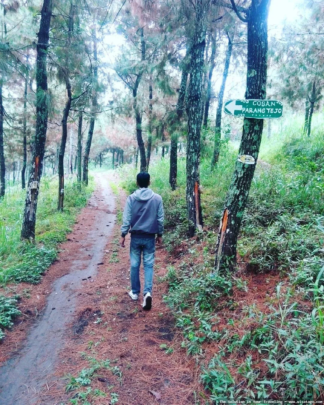 wisata Coban Parang Tejo nan indah