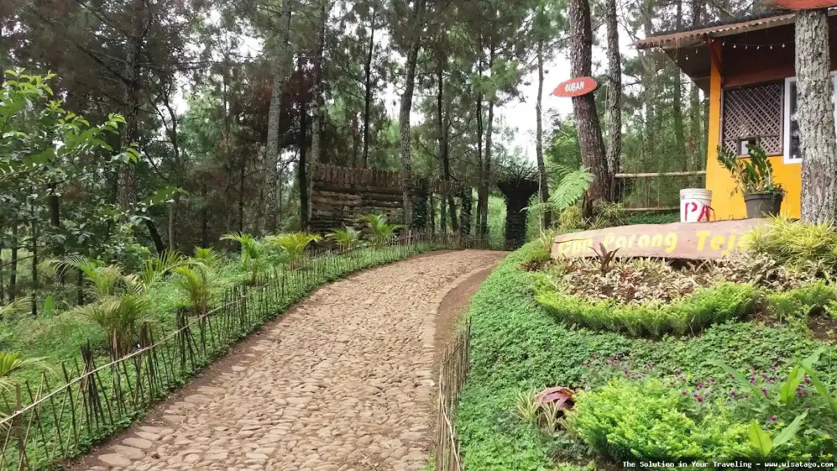 Wisata Coban Parang Tejo nan indah