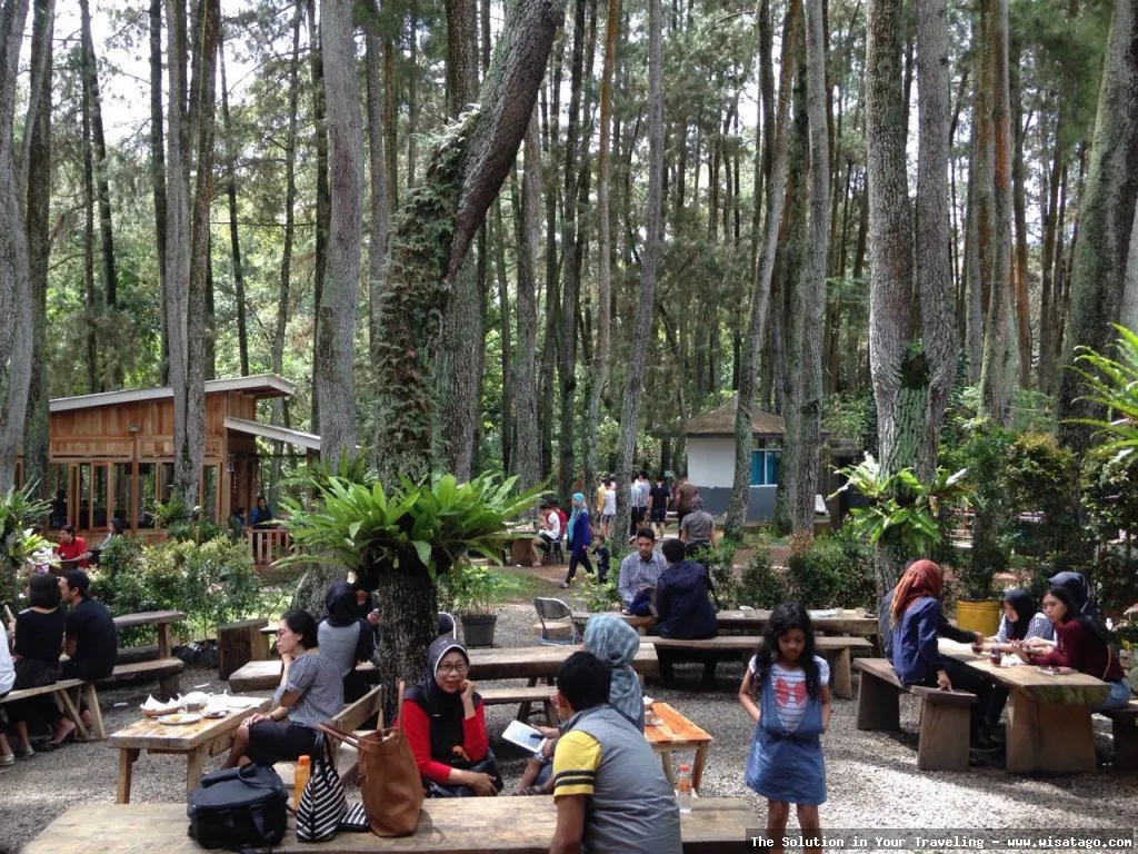 wisata Dari Utara Cafe yang asri