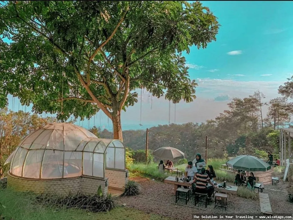 wisata Dari Utara Cafe yang asri