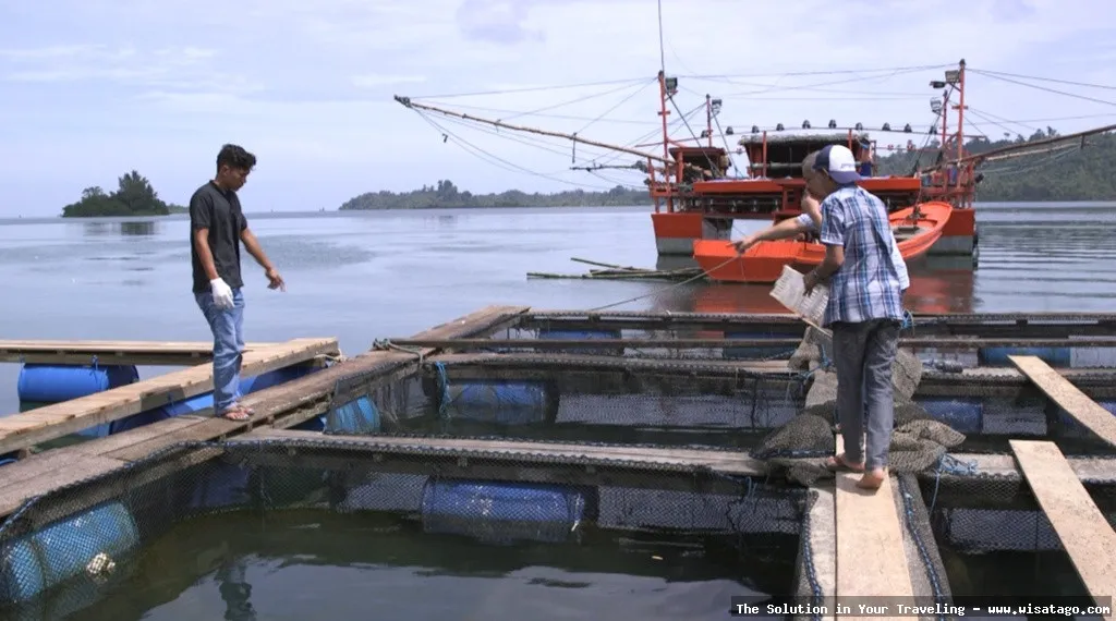 Wisata DERMAGA APUNG SIMEULUE yang indah