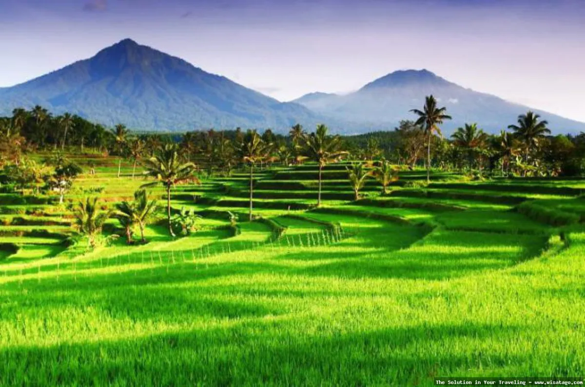 WISATA DESA BATU RAGI yang mempesona