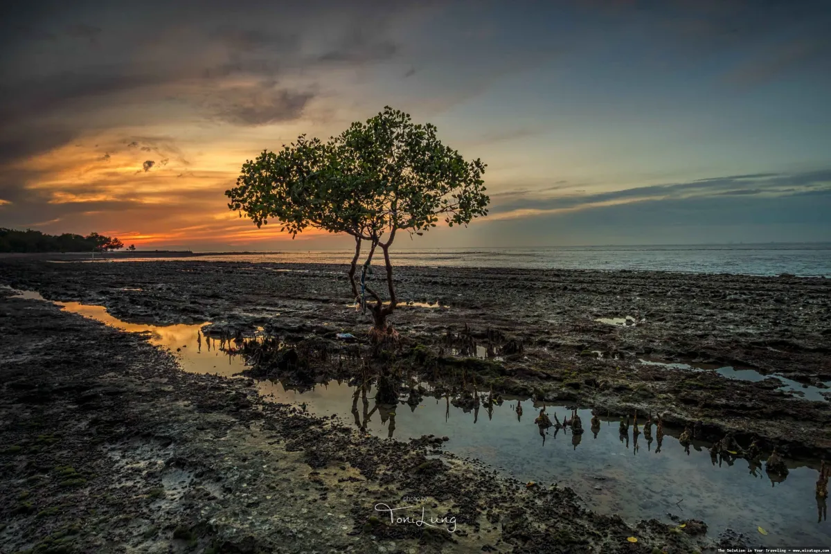 Wisata di Surabaya: Jelajahi kota pahlawan.