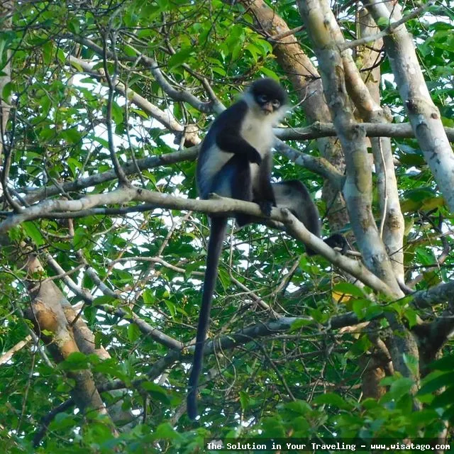 Wisata Fauna Kekah: interaksi dengan satwa