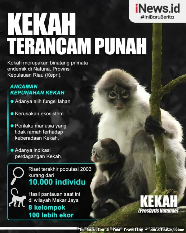 Wisata Fauna Kekah yang memukau.