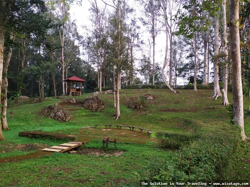 Wisata Goa Buniayu, keindahan stalaktit.