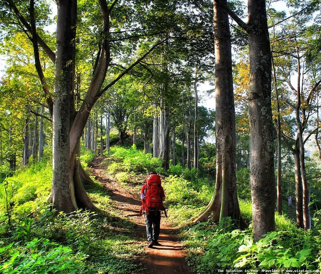 wisata Gunung Anjasmoro, pemandangan memukau