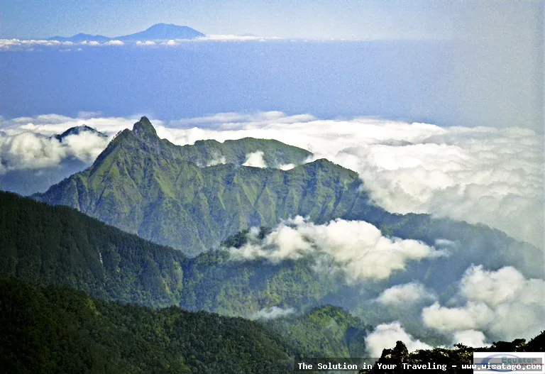 Wisata Gunung Anjasmoro: pemandangan alam indah