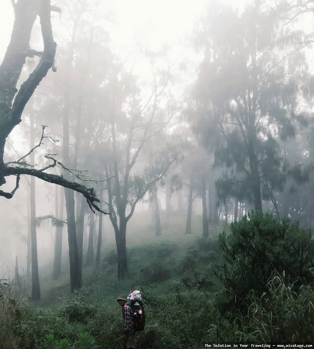 wisata Gunung Butak: pemandangan alam indah