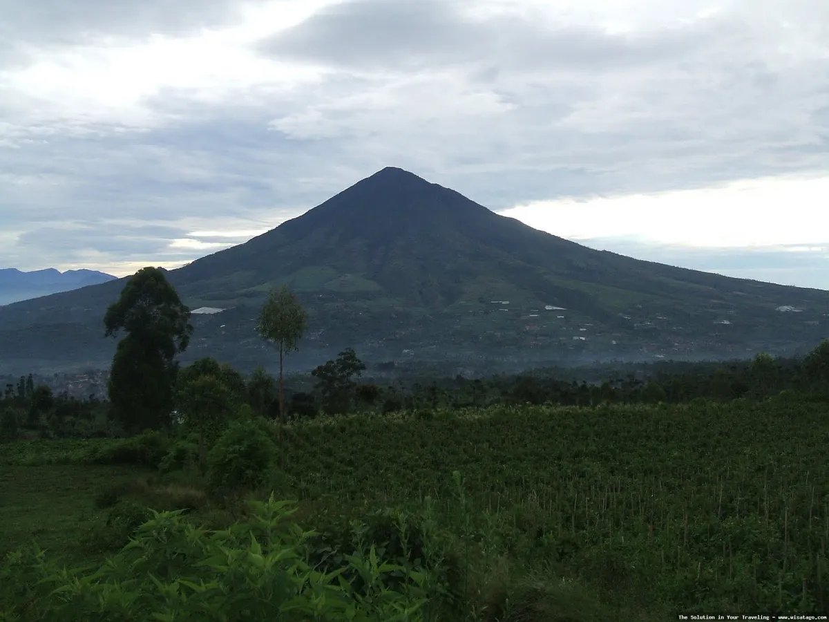 wisata Gunung Cikuray, pemandangan indah