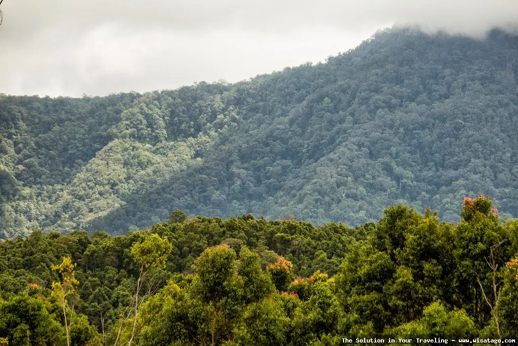 Wisata Gunung Kunyit yang mempesona.