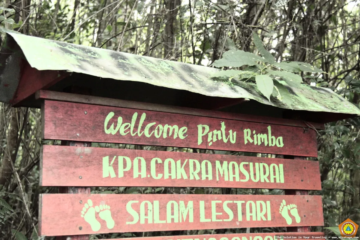 Wisata Gunung Masurai: Pemandangan alam indah
