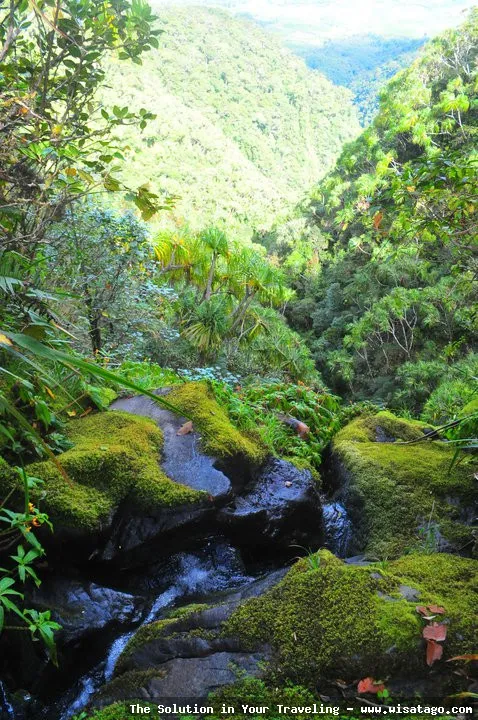 Wisata Gunung Masurai: pemandangan alam indah