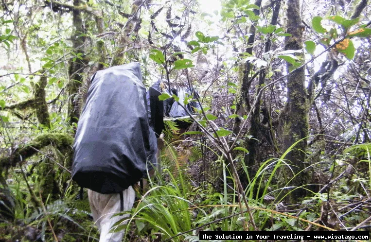 wisata Gunung Masurai: pemandangan alam indah