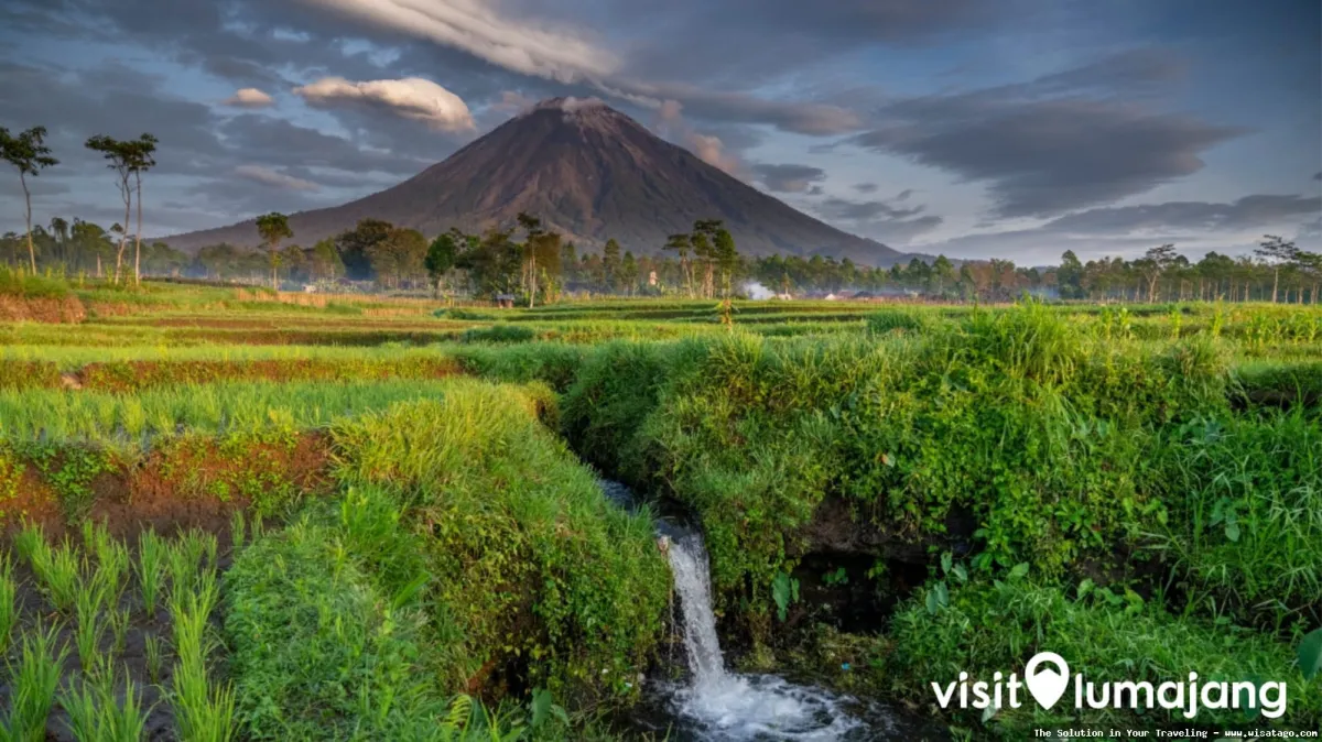 Wisata Gunung Semeru: pemandangan kawah Jonggring Saloko