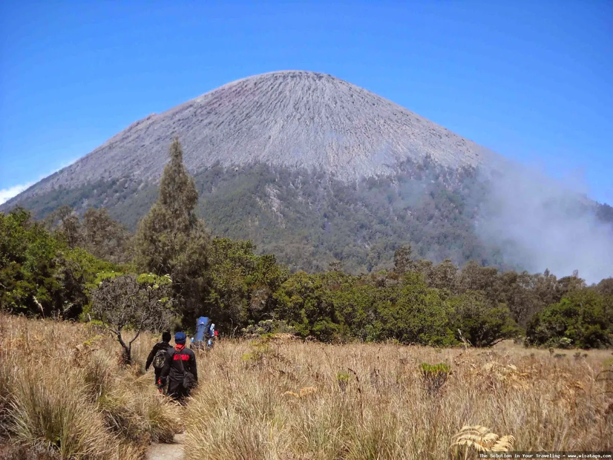 Wisata Gunung Semeru, pemandangan menakjubkan.