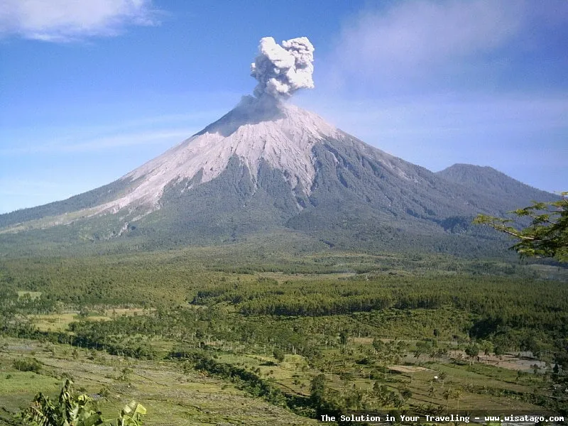Wisata Gunung Semeru, pemandangan memukau.