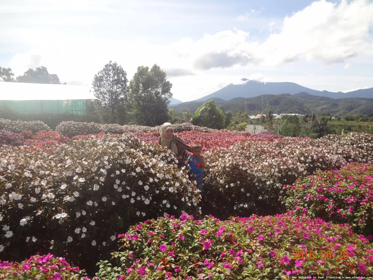 wisata Hestis Garden yang mempesona