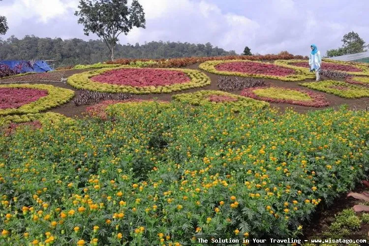 Wisata Hestis Garden, taman rekreasi.