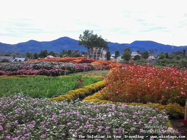 wisata Hestis Garden yang memukau