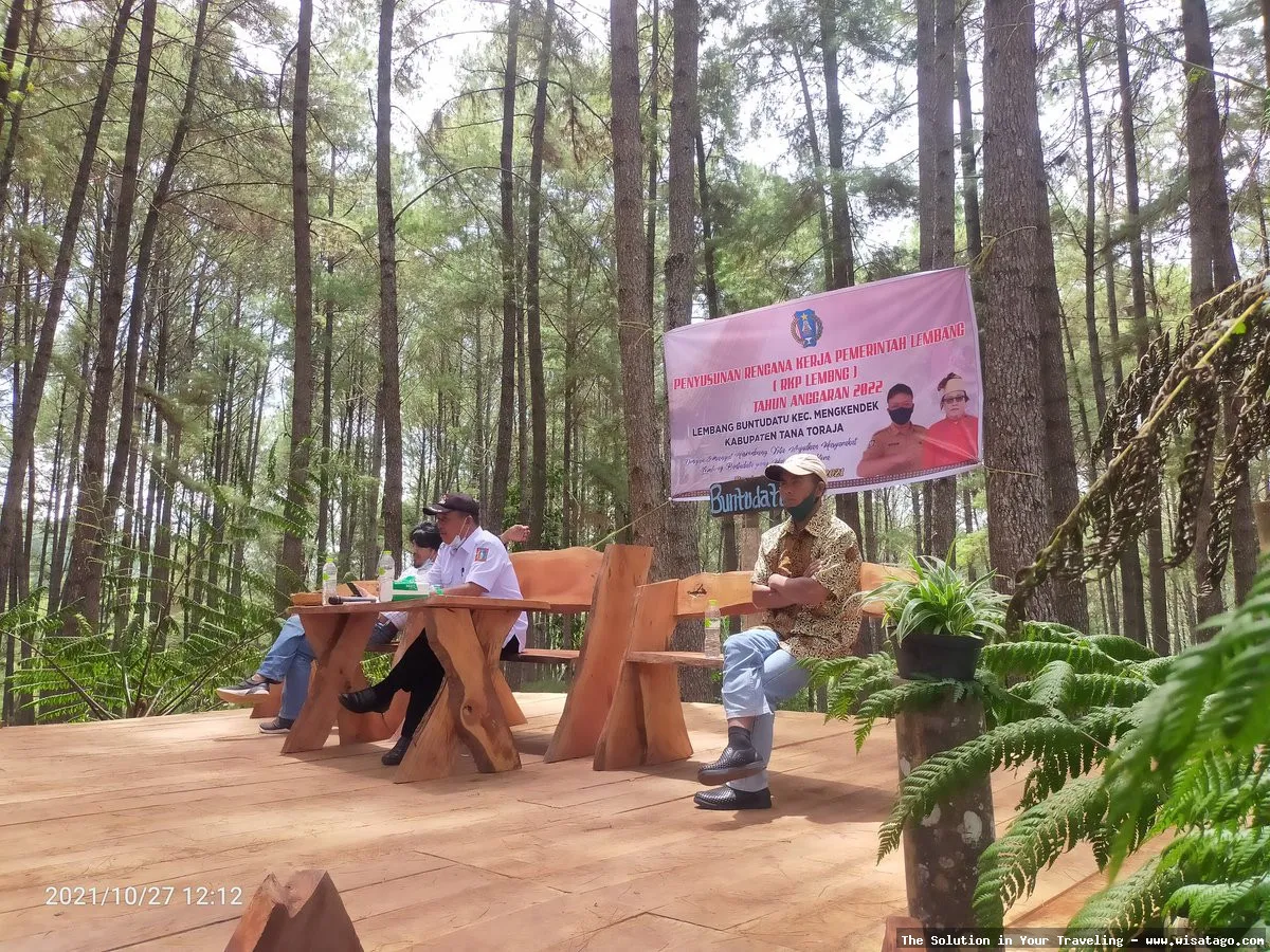 Wisata Hutan Pinus Buntudatu yang asri