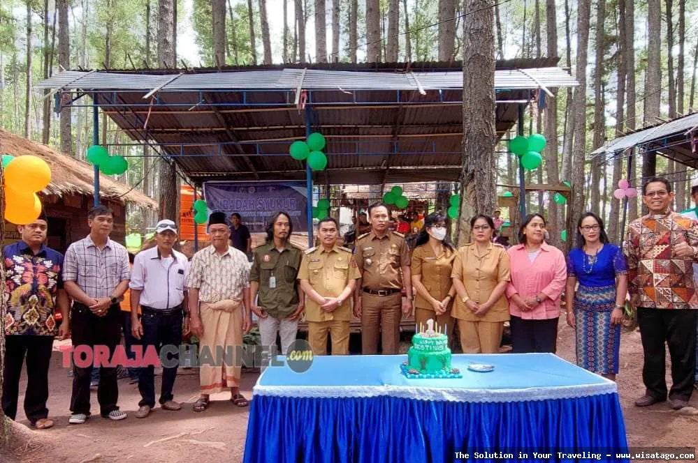 Wisata Hutan Pinus Buntudatu nan indah