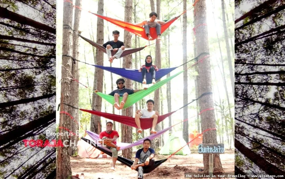 Wisata Hutan Pinus Buntudatu nan asri