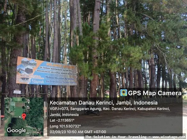 Wisata Hutan Pinus Sanggaran Agung asri